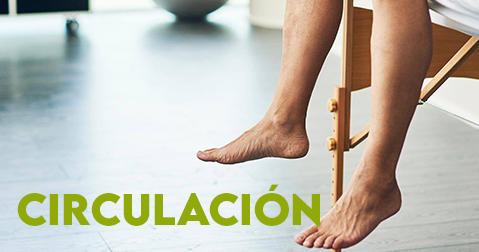 Circulación